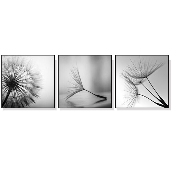 HomeDiscount-Wall Art 50cmx50cm Botanical dandelions 3 Sets Black Frame Canvas