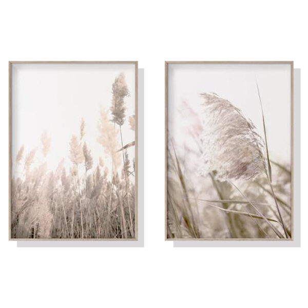 HomeDiscount-Wall Art 40cmx60cm Pampas Grass 2 Sets Wood Frame Canvas