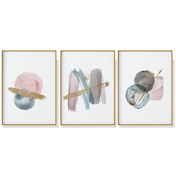 HomeDiscount-Wall Art 50cmx70cm Blush Pink Watercolor 3 Sets Gold Frame Canvas