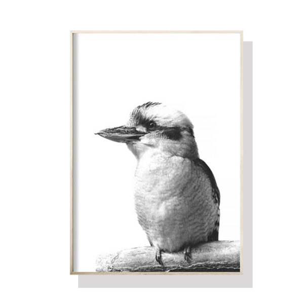 HomeDiscount-Wall Art 50cmx70cm Kookaburra Black Frame Canvas