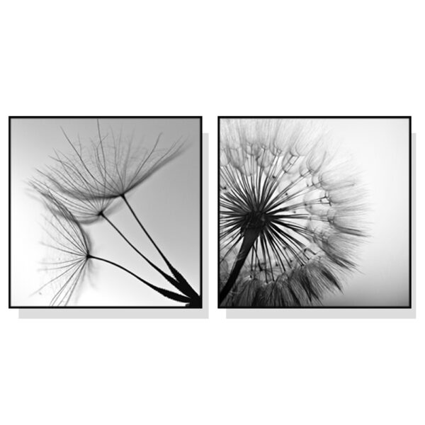 HomeDiscount-Wall Art 60cmx60cm Black and white dandelion 2 Sets Black Frame Canvas