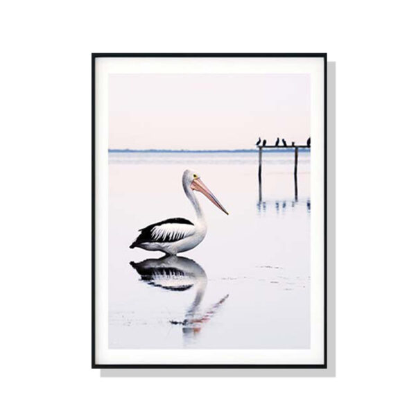 HomeDiscount-Wall Art 50cmx70cm Pelican Black Frame Canvas