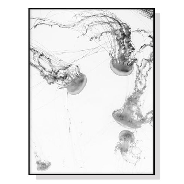 HomeDiscount-Wall Art 60cmx90cm Jellyfish Black Frame Canvas