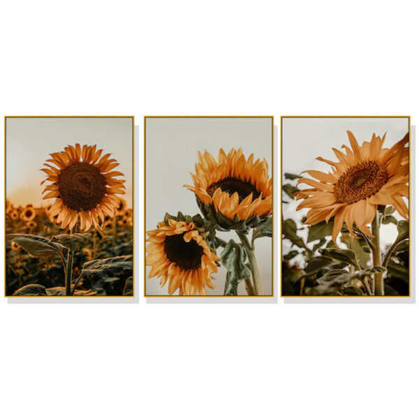 HomeDiscount-Wall Art 60cmx90cm Sunflower 3 Sets Gold Frame Canvas