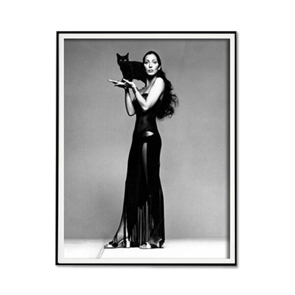 HomeDiscount-Wall Art 50cmx70cm Cher Music Black and White  Black Frame Canvas