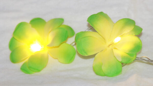 HomeDiscount-1 Set of 20 LED Green Frangipani Flower Battery String Lights Christmas Gift Hom