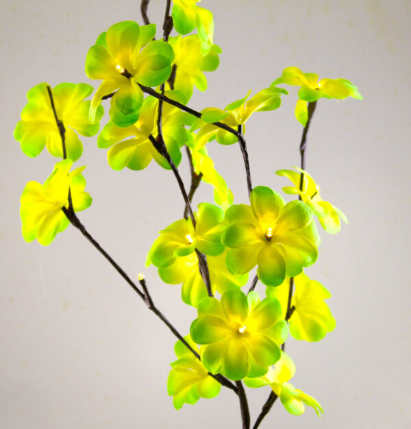 HomeDiscount-1 Set of 50cm H 20 LED Green Frangipani Tree Branch Stem Fairy Light Wedding Eve