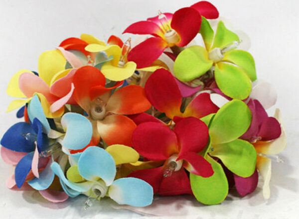 HomeDiscount-1 Set of 20 LED Tropical Bright Colous Frangipani Flower Battery String Lights C