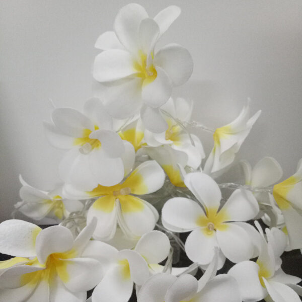 HomeDiscount-1 Set of 20 LED White Frangipani Flower Battery String Lights Christmas Gift Hom