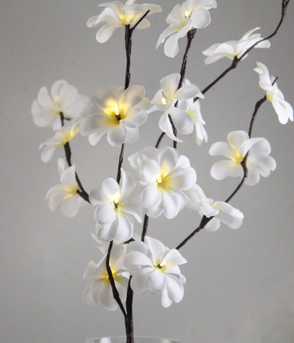 HomeDiscount-1 Set of 50cm H 20 LED White Frangipani Tree Branch Stem Fairy Light Wedding Eve