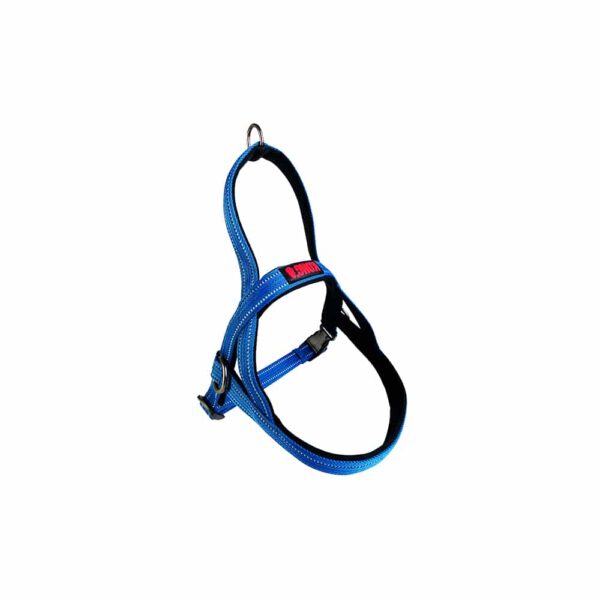 HomeDiscount-KONG Norwegian Blue Harness Small