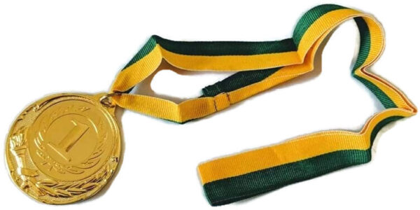 HomeDiscount-METAL WINNER GOLD MEDAL 1st Party Favours Sports Day 40cm Ribbon - Green/Gold