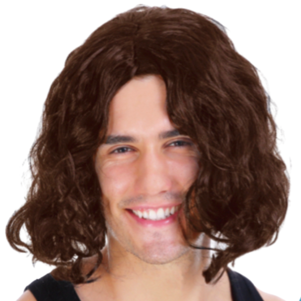 HomeDiscount-MENS WAVY WIG Curly Long Hair Disco Punk Rock Party Costume 60s 70s - Brown