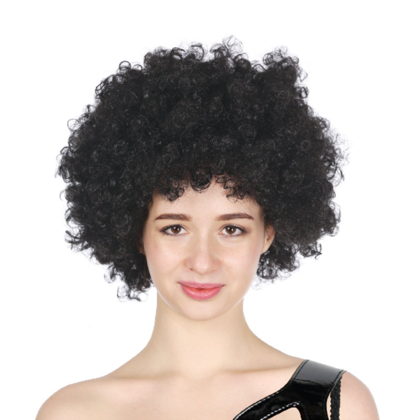 HomeDiscount-Mens DELUXE AFRO WIG Curly Hair Costume Party Fancy Disco 70s 80s Dress Up - Bla