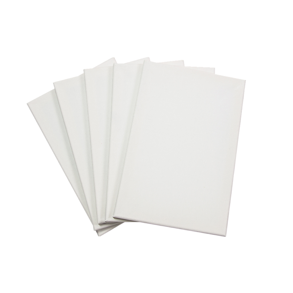 HomeDiscount-5 pack of 20x30cm Artist Blank Stretched Canvas Canvases Art Large White Range O