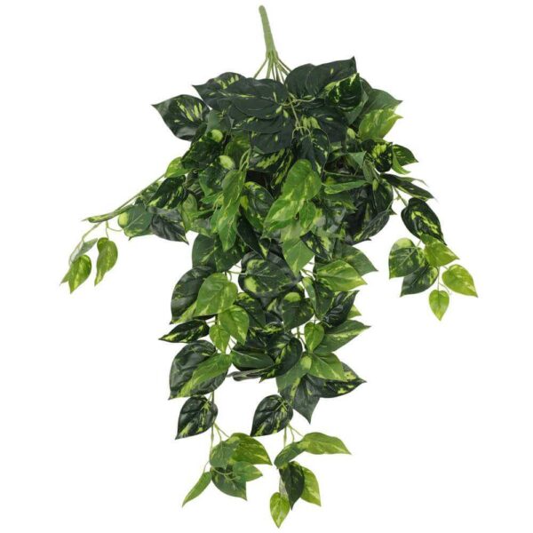 HomeDiscount-Philodendron Hanging Bush 73cm