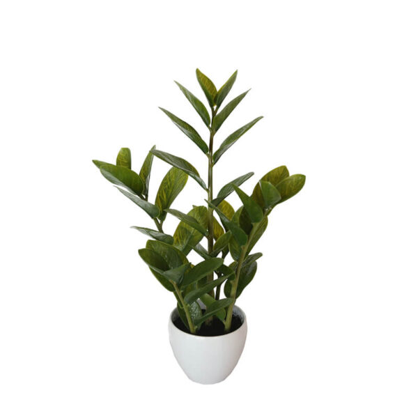 HomeDiscount-60cm Potted Zanzibar